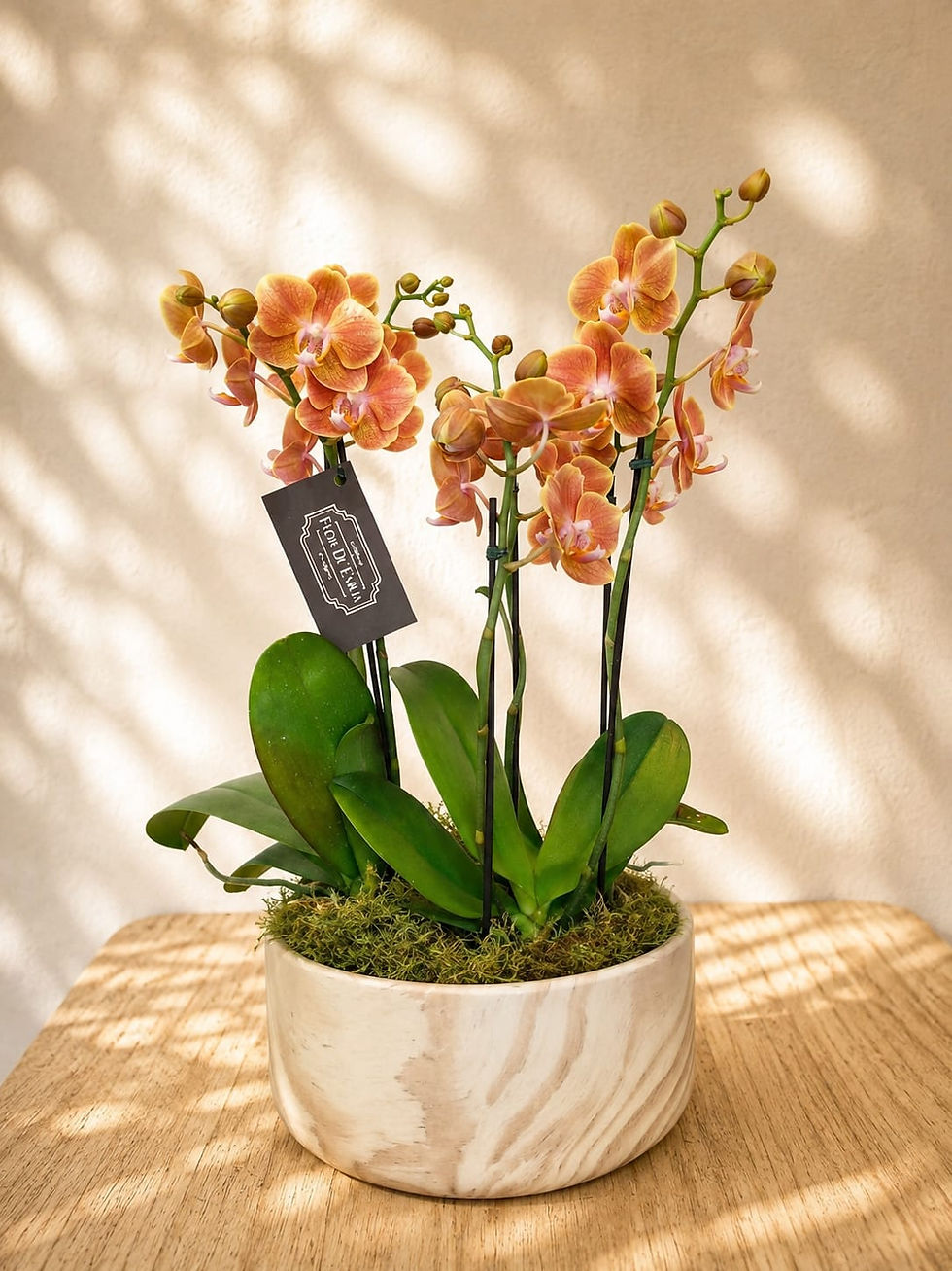 arranjo-orquidea-laranja-luxo-floricultura-flor-de-emilia-Sorocaba.jpg