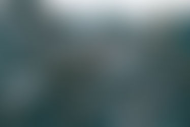 林佳龍/從產業最適棲息地理論 看數位新南向的包容性新思維