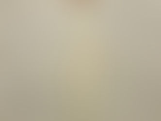 觀審、陪審、參審與解套