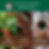 Thumbnail: Starbucks Coffee Cafe Verona 7.8 oz (220 g) [Beans]