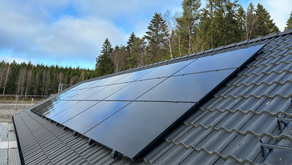 solar panels on a roof with forest behind the house