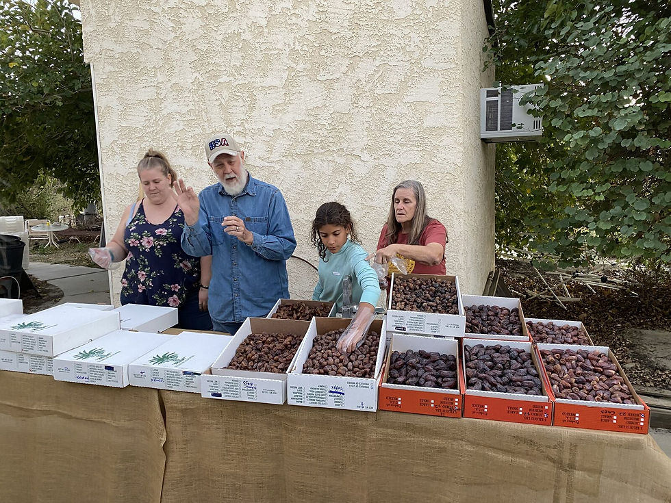 Desert Gardeners visiting Futterman’s Date Farm