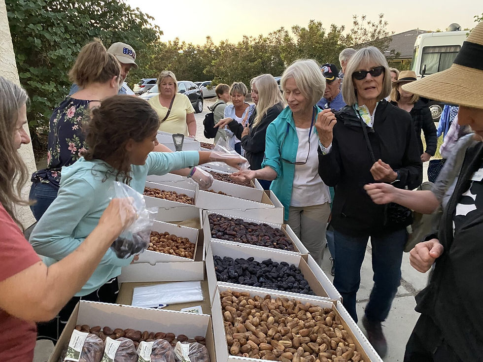 Desert Gardeners visiting Futterman’s Date Farm