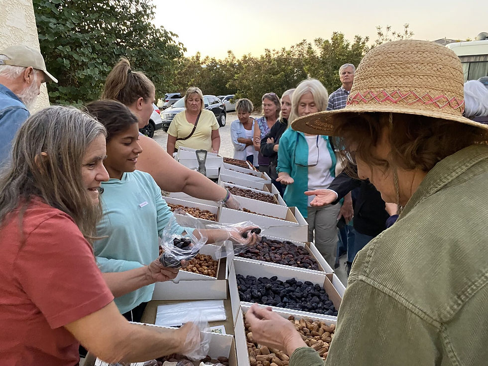Desert Gardeners visiting Futterman’s Date Farm