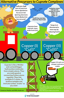 andersenwilliam_3734711_63534830_kam-and-wills-infograph-final.png