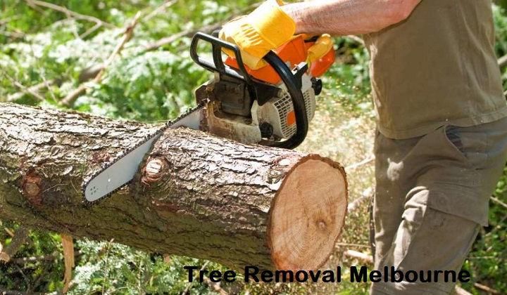 Tree Removal Melbourne