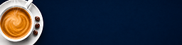 Banner no logo.png