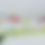Thumbnail: Cottage garden  (free-standing curve)