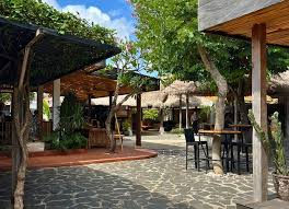 thecashewtree-mazarivillas-guide.jpeg