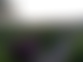 Never has zucchini been so delicious, never has it been taken so seriously.  