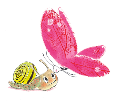 Vlinder en slak ontdekken elkaar