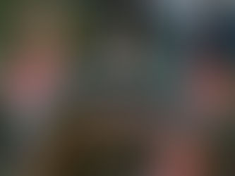 A Cozy Guide To Millcreek