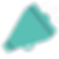 megaphone icon - light blue.png