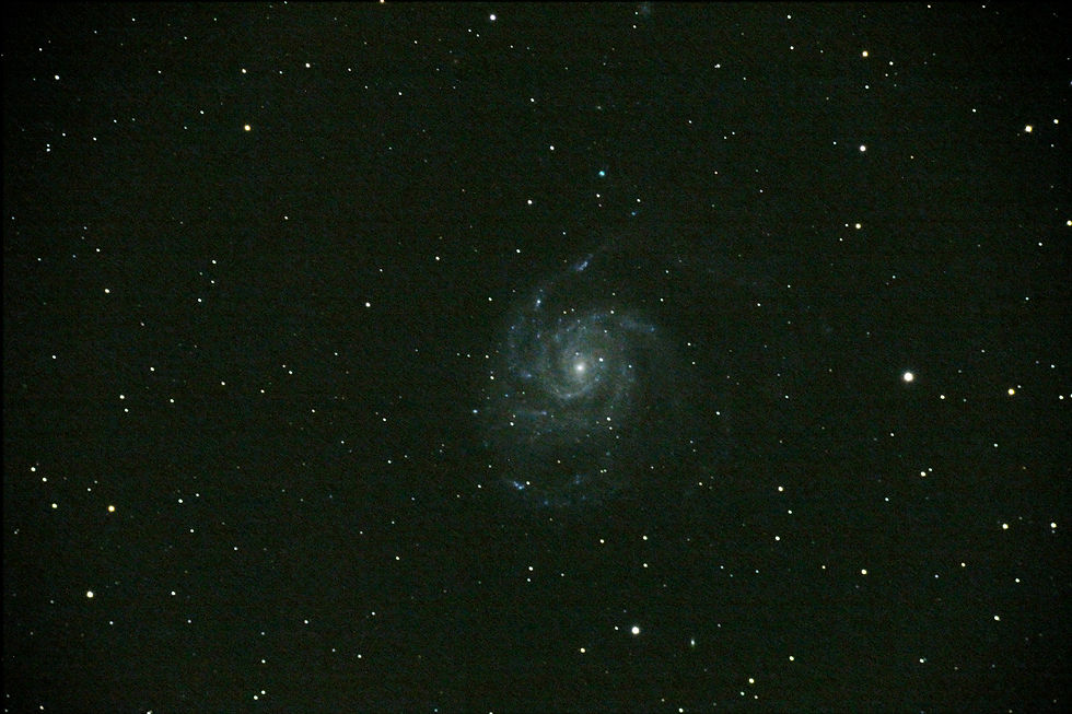 M101