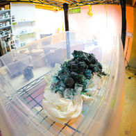 Side view of an inclined ice dyeing bin containing a scrunched cotton shirt, ice, and powdered dye.