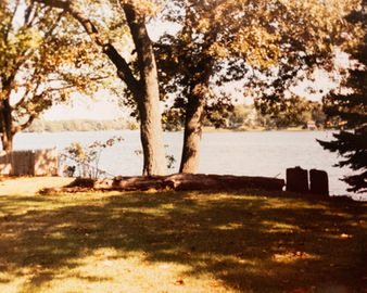 A wide shot of the Saint Joe River from the backyard of the 1415 Greenleaf house showing a mature tree and a yard