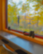 A large window with a shallow countertop and chairs, meant for bird watching, at Fernwood Botanical Garden.