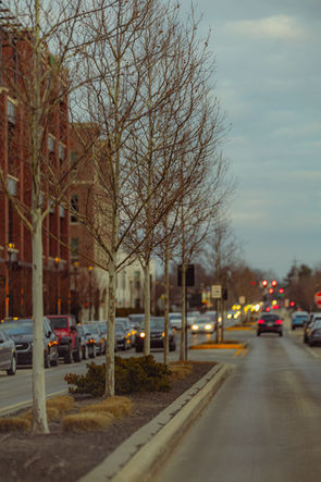 Cars driving along East Jackson Boulevard in downtown Elkhart, with trees and brick buildings lining the street.