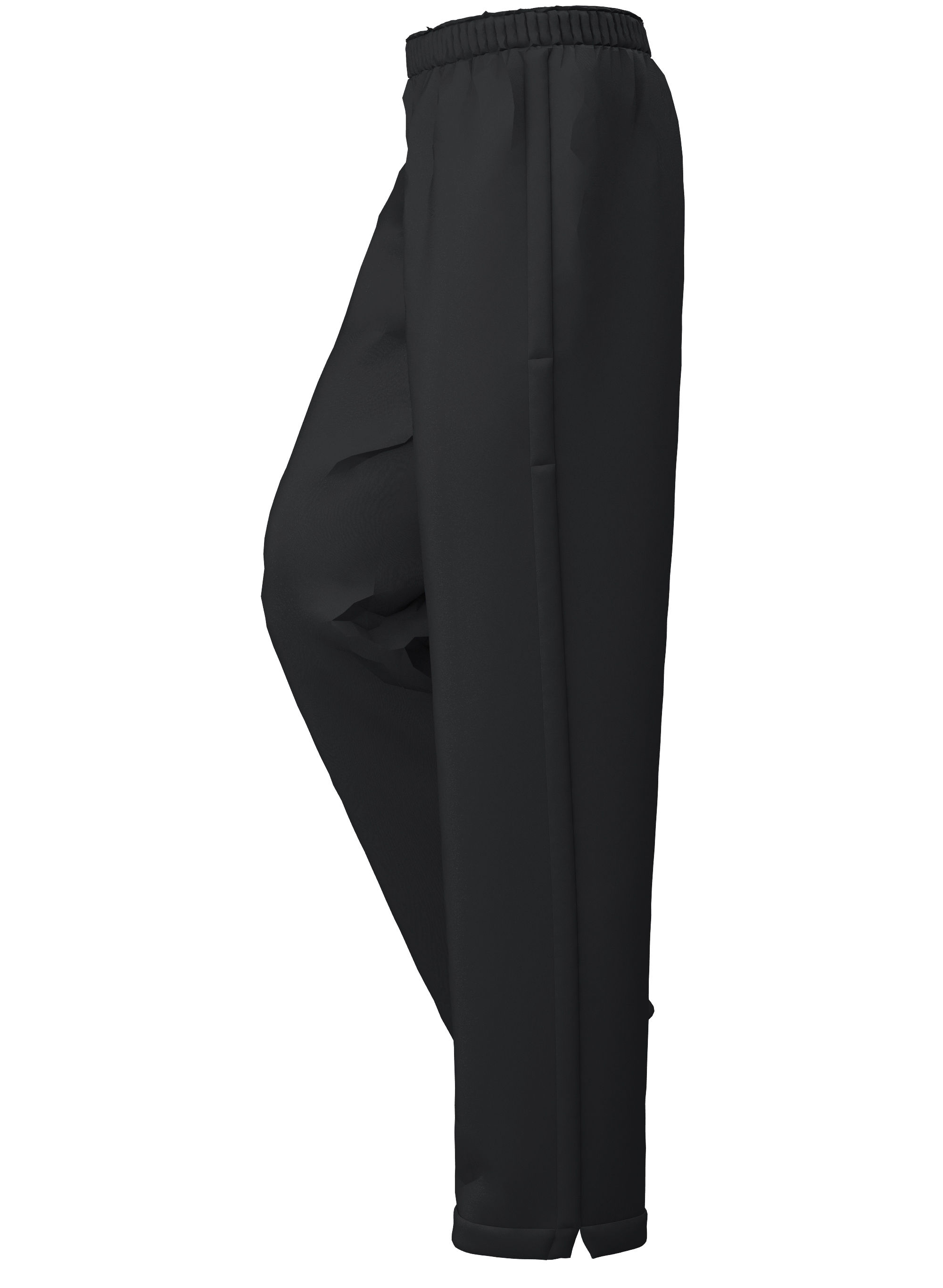 Premium Sports Lined Training Pant