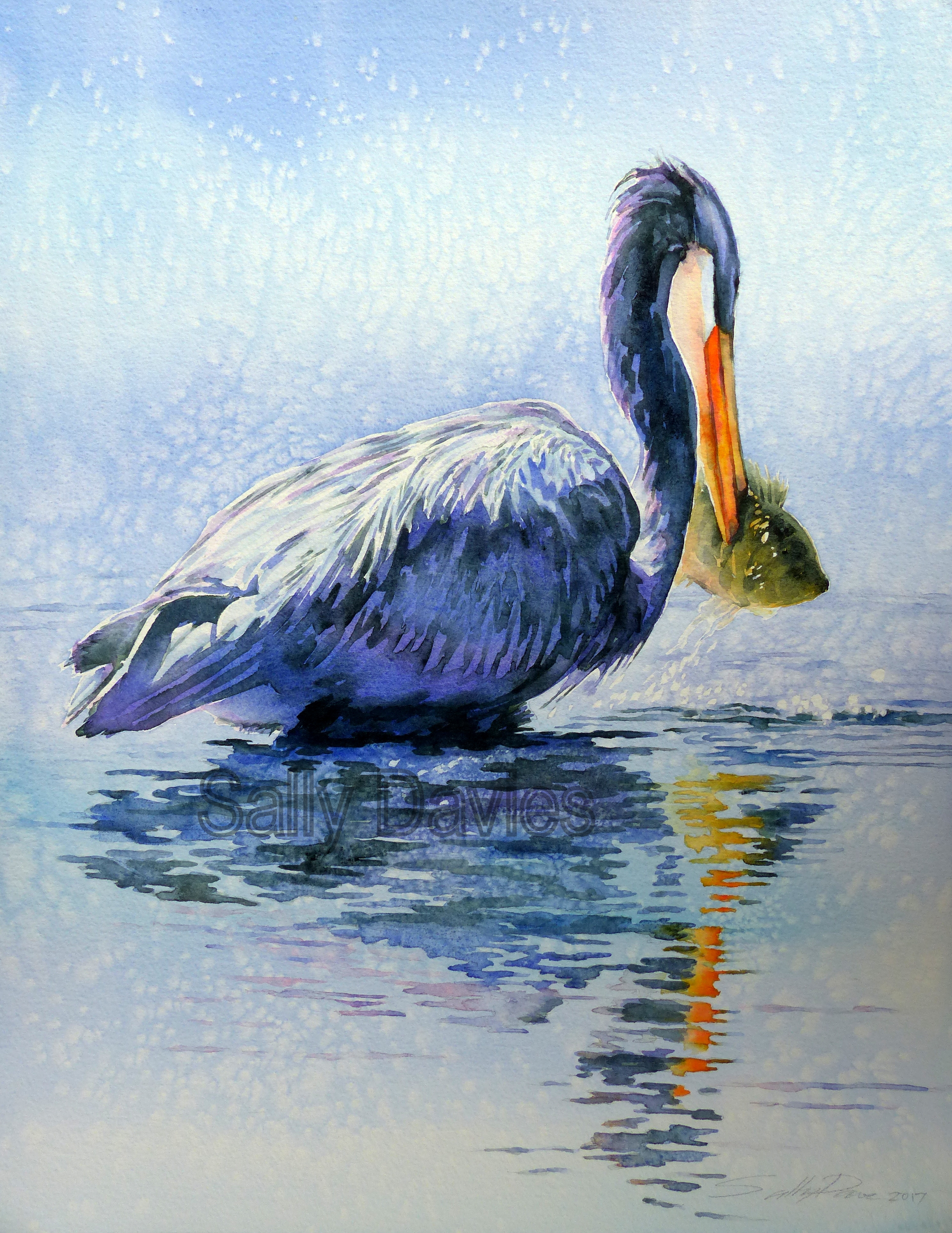 15-P1880158