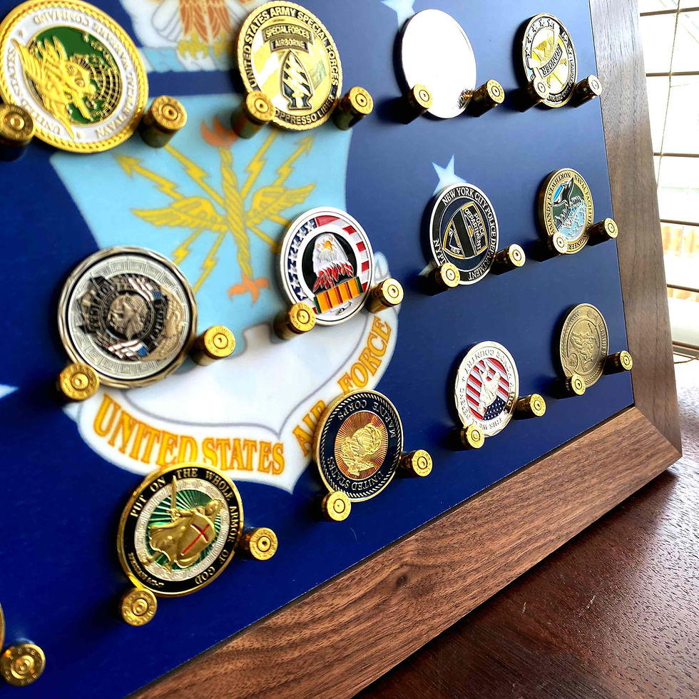 Thumbnail: Air Force - Coin Display 12"x18" Matte