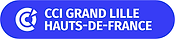 logo de la CCI grand lille