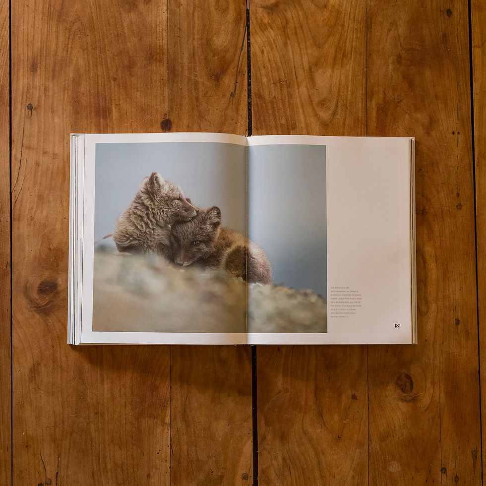 Miniature : Grand Nord