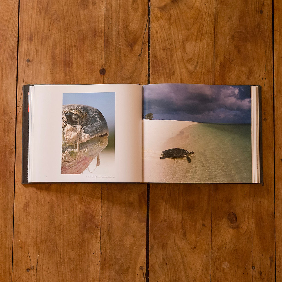 Miniature : Des tortues et des îles,  voyage au cœur de l'océan Indien