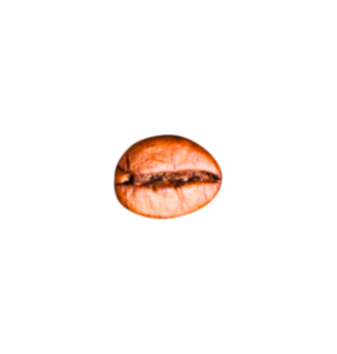 grain de café_3.png