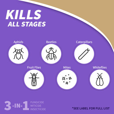 Bonide Captain Jack's Neem Oil kills all stages of insects including eggs larvae and adults