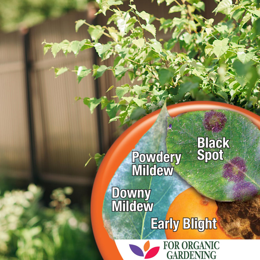 Bonide Captain Jack's Copper Fungicide for organic gardening OMRI listed certification logo