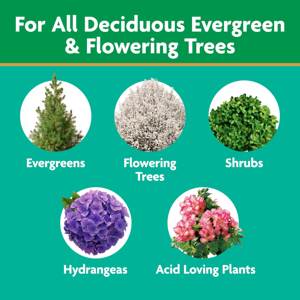 Deciduous evergreen and flowering trees showing Miracle-Gro Tree and Shrub all-season coverage