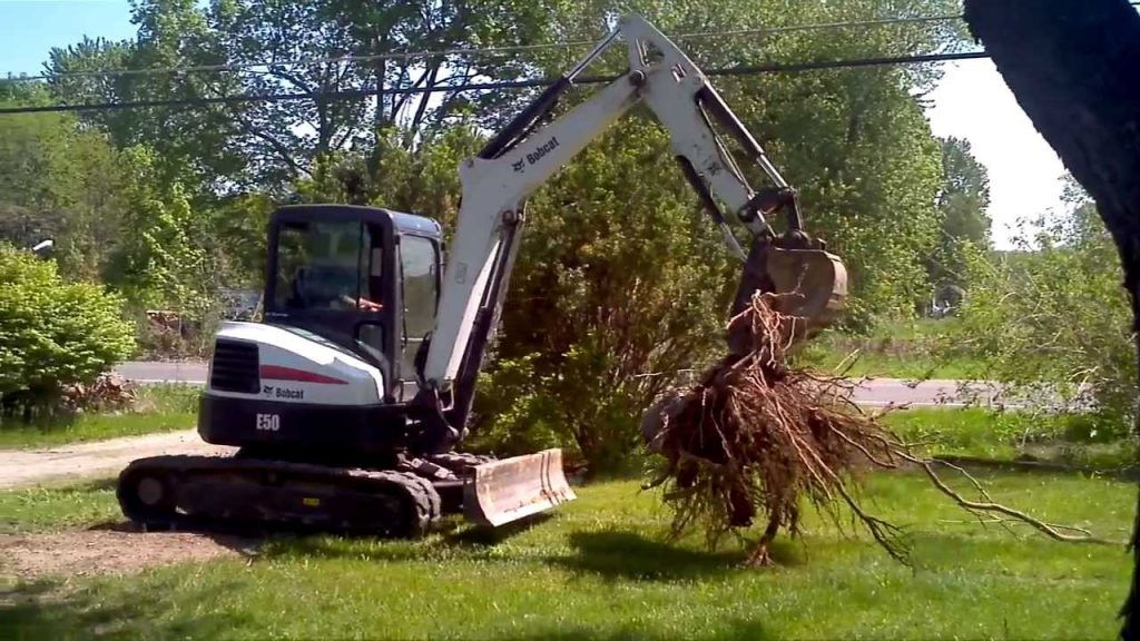 Tree & Brush Removal