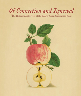 Connection&Renewal.png