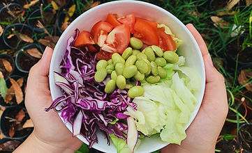 Nutrición