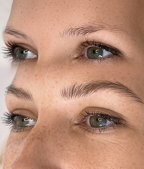 hairstroke brows_edited.png