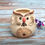 Thumbnail: Brawny Owl (Ivory) Planter pot 5" high