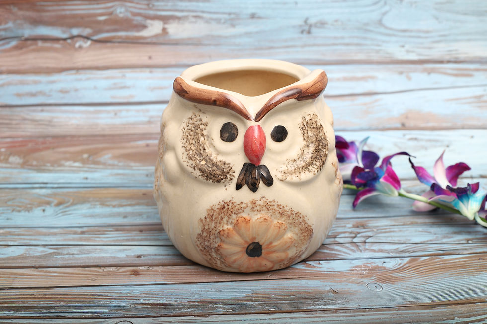 Brawny Owl (Ivory) Planter pot 5" high