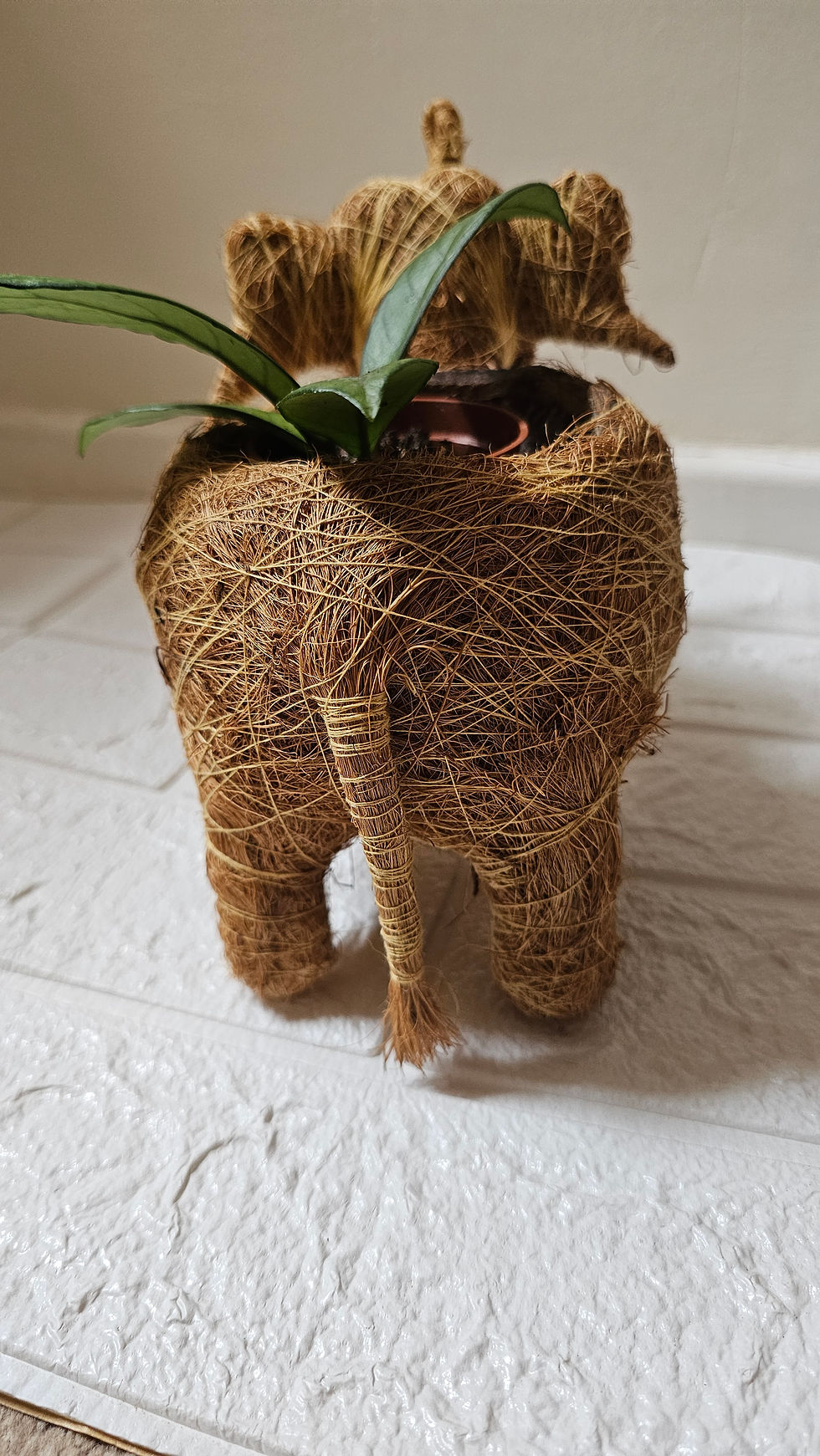 Thumbnail: Rustic Handmade Coco Coir Elephant planter pot Stand l L10 x W4.5 x H8 Inches