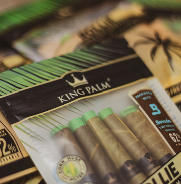 king palm.PNG