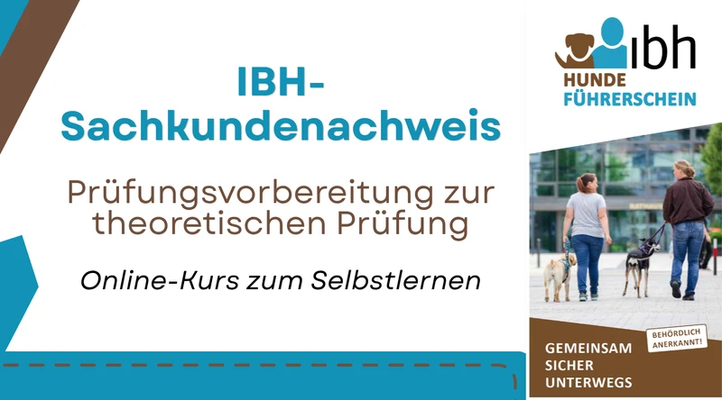 Einstiegsfolie des Online-Kurses