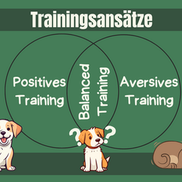 Zwei Kreise, die in der Mitte eine Schnittmenge bilden. Im vorderen Kreis steht "Positives Training", im Schnitt "Balanced Training" und im rechten Kreis "Aversives Training"