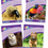 サムネイル： Jolly Phonics Readers  Our World Nonfiction Level 5  Purple(in print )