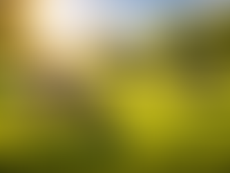 The Silent Signal: Why Your Vitamin D is Failing and the Liver is the Key