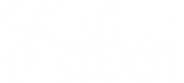 friboi-logo.png