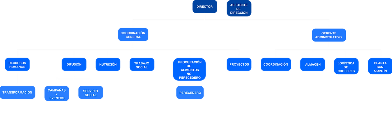 organigrama7.png