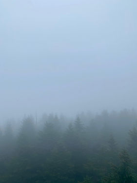 IMG_4324.JPEG