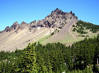 Three_fingered_jack_from_southwest_on_PCT_P3025.jpeg