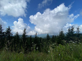 IMG_4693.JPEG