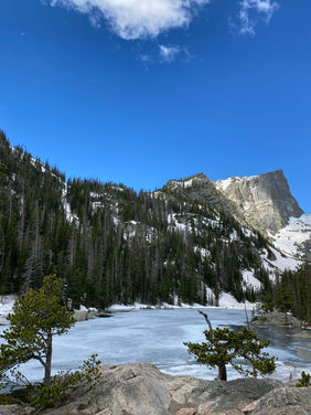 IMG_9945.jpeg